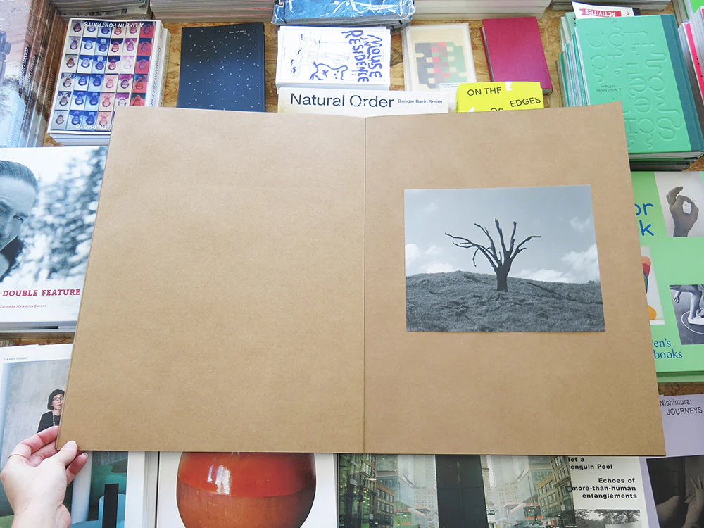 Mark Armijo McKnight – Posthume - Image 4