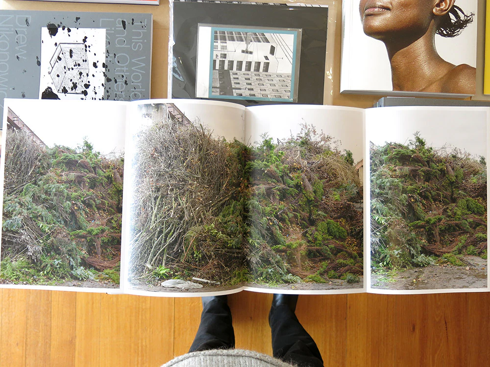 Marta Pohlmann-Kryszkiewicz – Natural Forms - Image 6