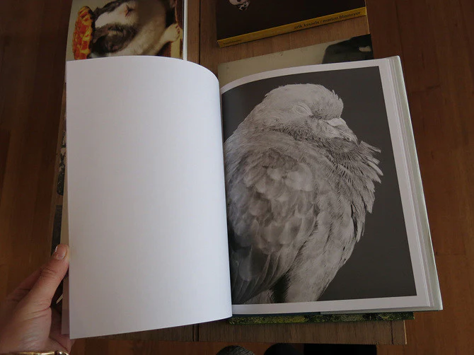 Marten Lange - Citizen - Image 5