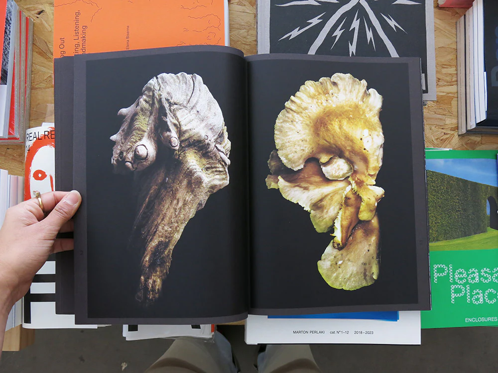 Martin Tscholl – Imaginary Ecologies - Image 6
