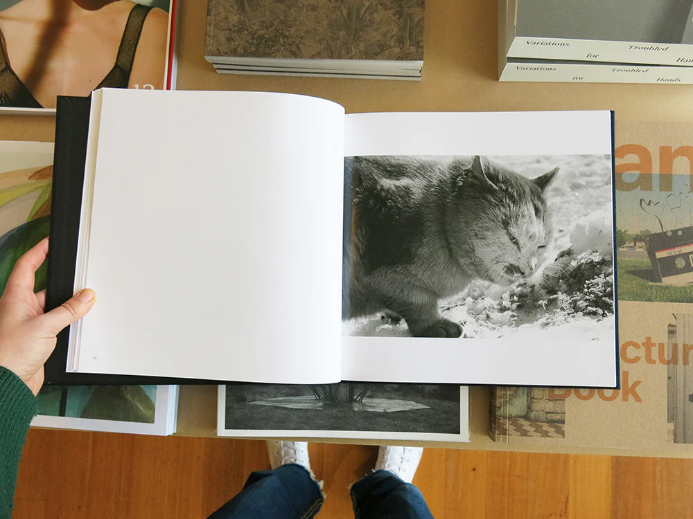 Masahisa Fukase – Ravens - Image 6