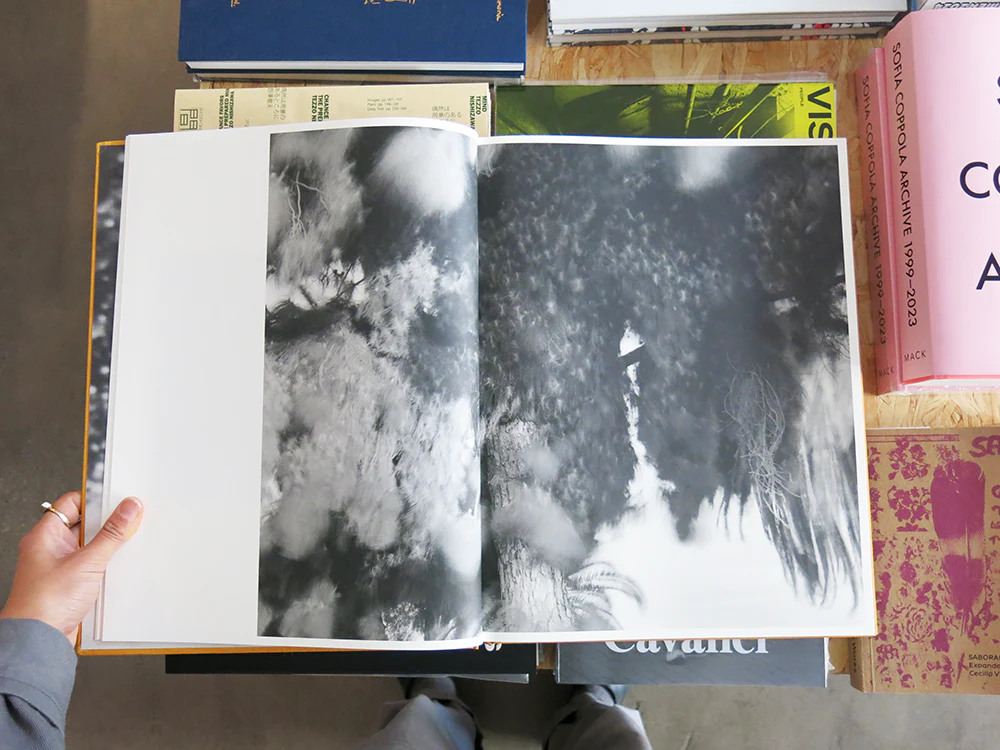 Matthew Genitempo – Dogbreath - Image 5