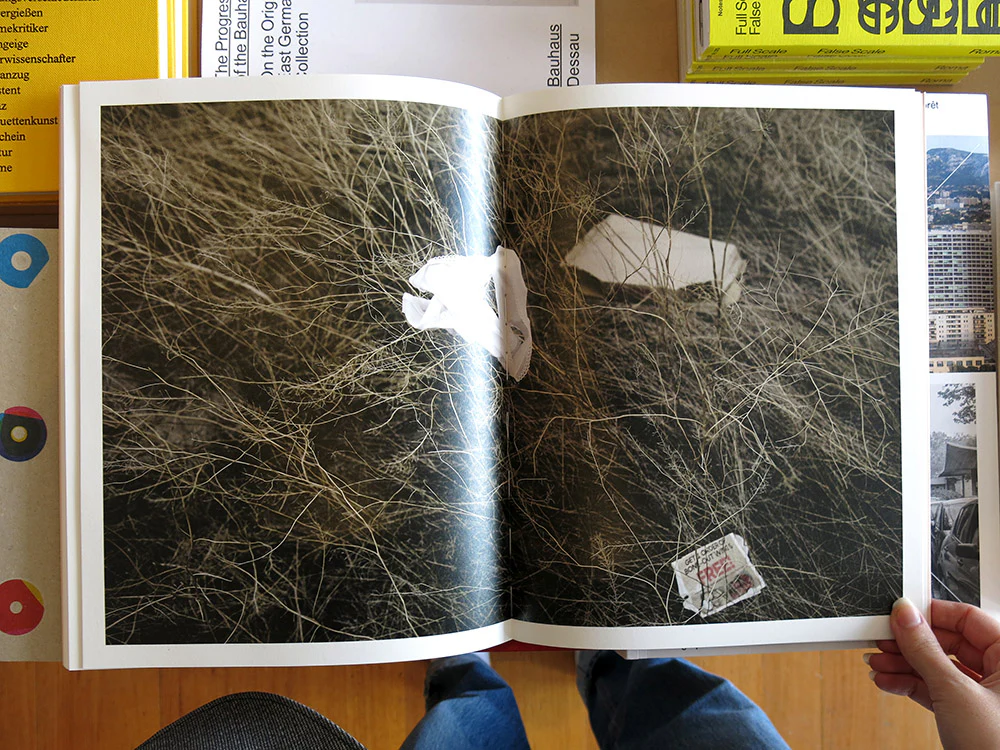 Maude Arsenault – Entangled - Image 7