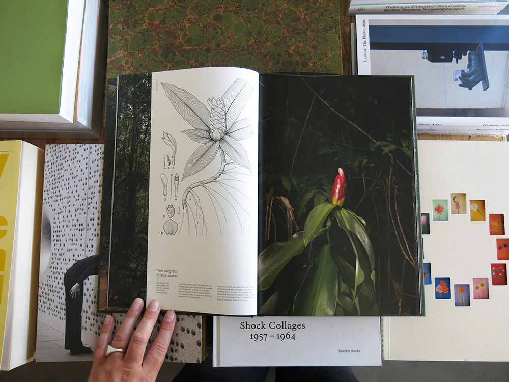 Michelle Piergoelam – Fourteen Leaves and a Cup of Water - Image 3