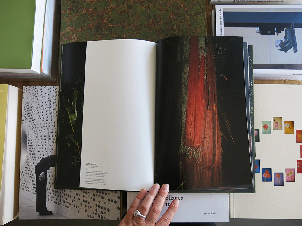 Michelle Piergoelam – Fourteen Leaves and a Cup of Water - Image 8
