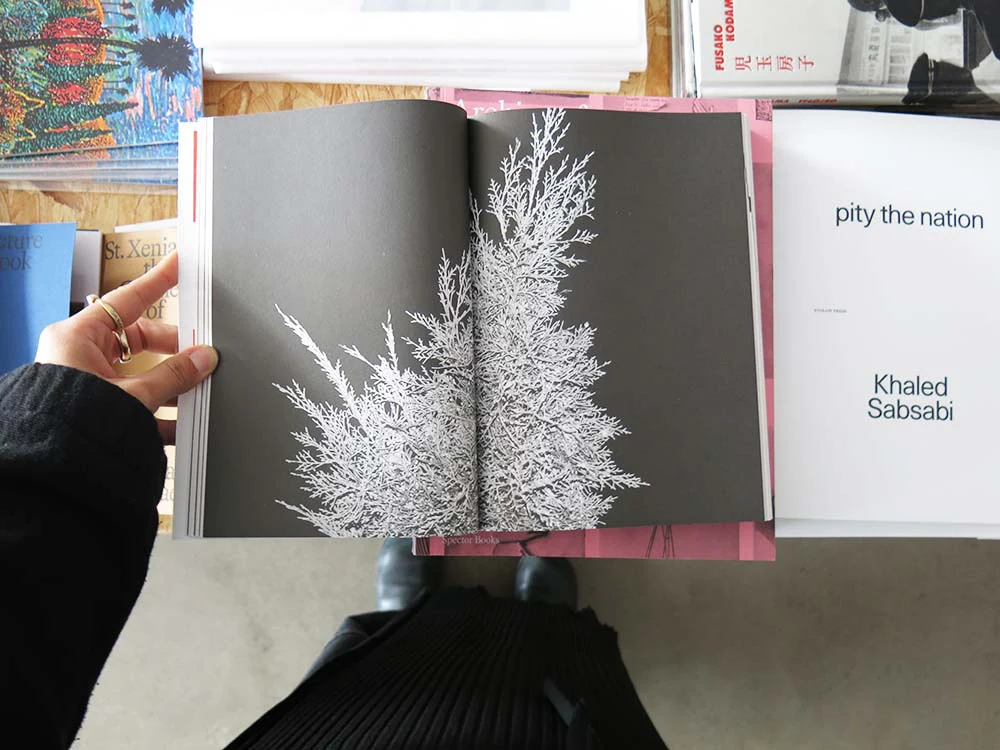 Mieke Bal – Moments of Meaning-Making: On Anachronism, Becoming, and Conceptualizing - Image 6