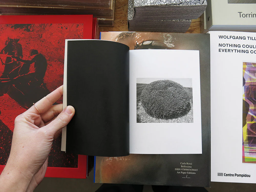 Mike Slack – Shrubs of Death - Image 3
