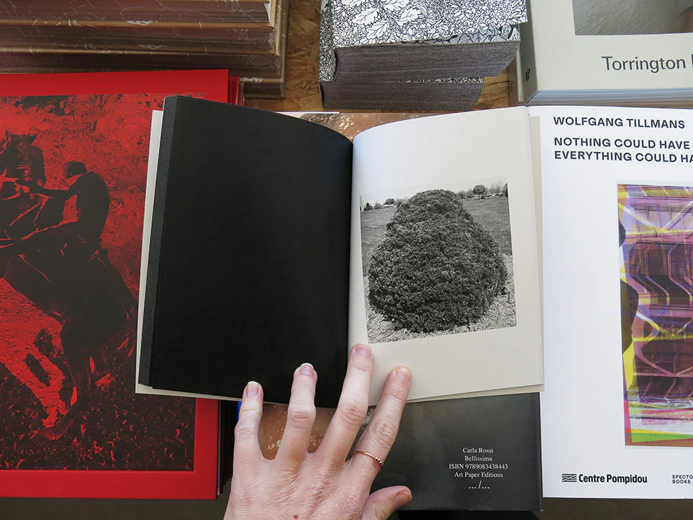 Mike Slack – Shrubs of Death - Image 7