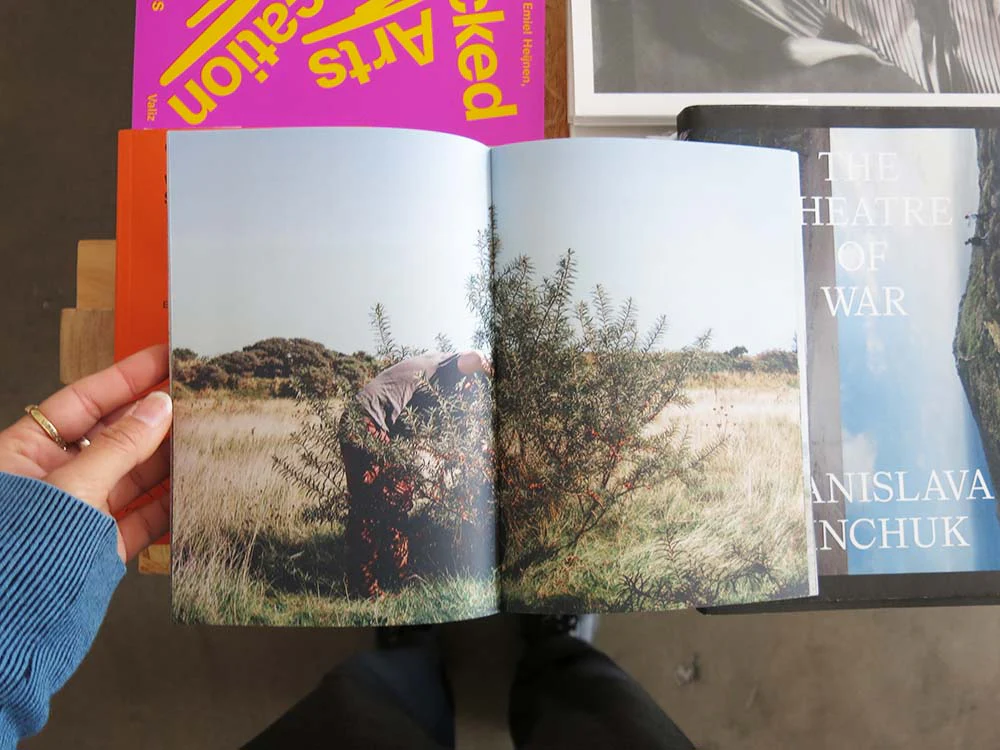 Myles Shelly – Bull Island - Image 5