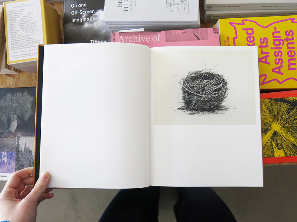 PRE-ORDER: Nathalie Baetens – On Birds (Des oiseaux) - Image 3