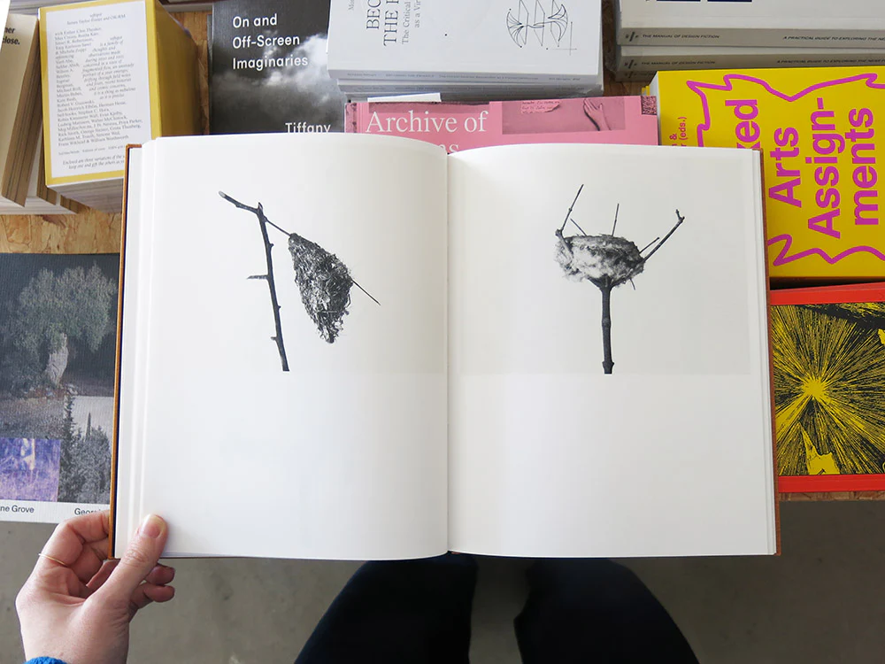 PRE-ORDER: Nathalie Baetens – On Birds (Des oiseaux) - Image 6