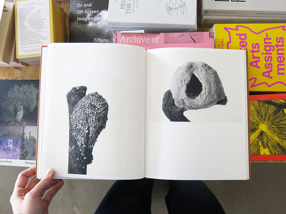 PRE-ORDER: Nathalie Baetens – On Birds (Des oiseaux) - Image 7