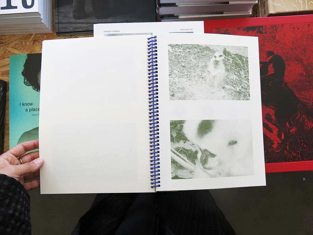 Nicholas Currie – OBSERVATION NOITAVRESBO - Image 2