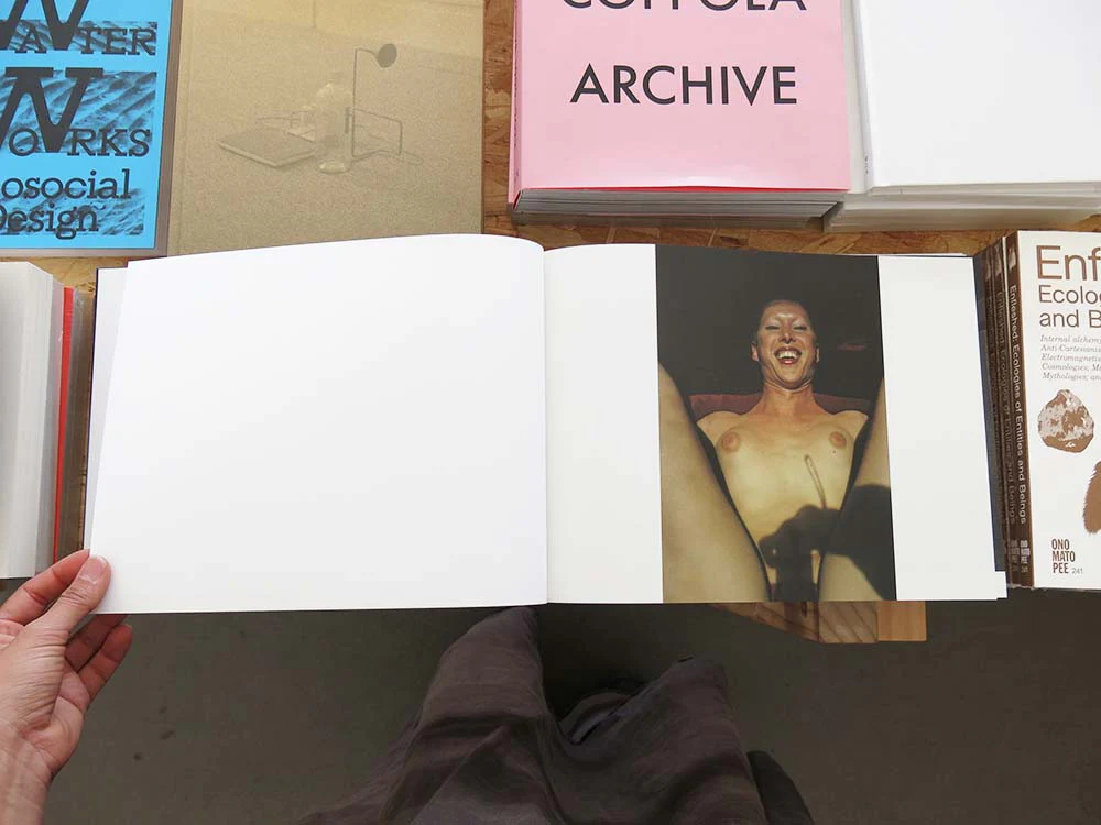 Nick Haymes – Dancing on the Fault Line - Image 12