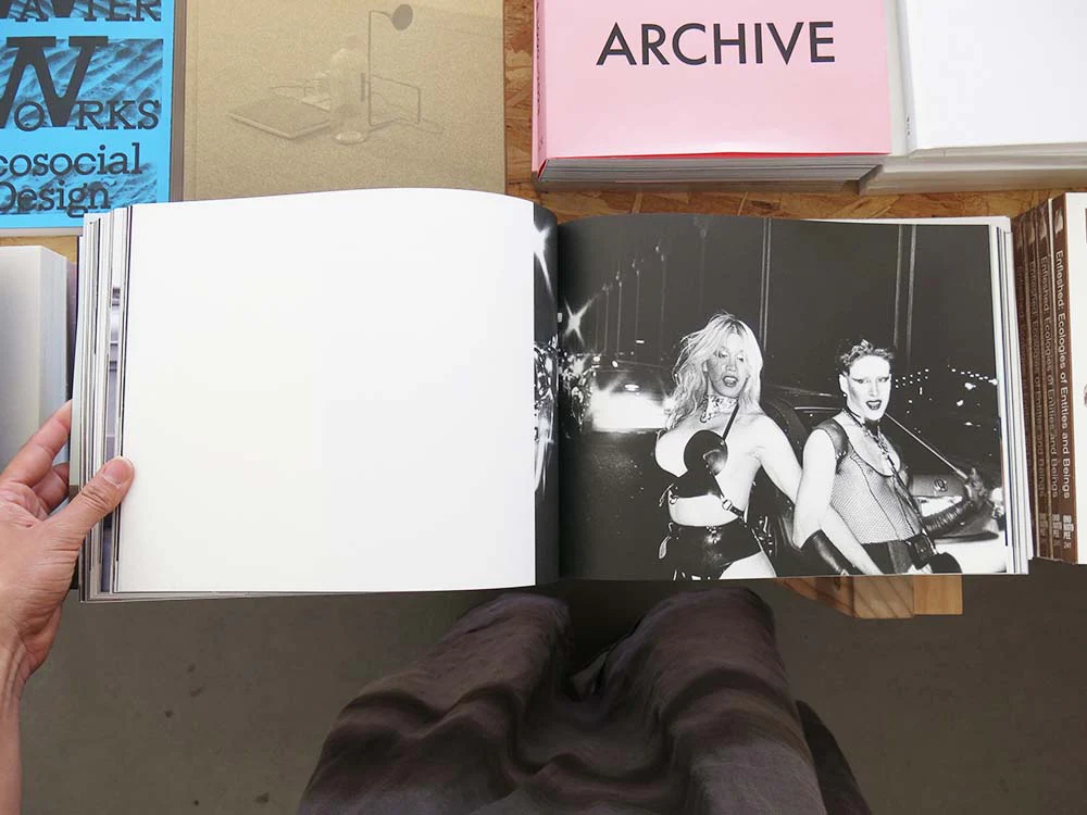Nick Haymes – Dancing on the Fault Line - Image 8