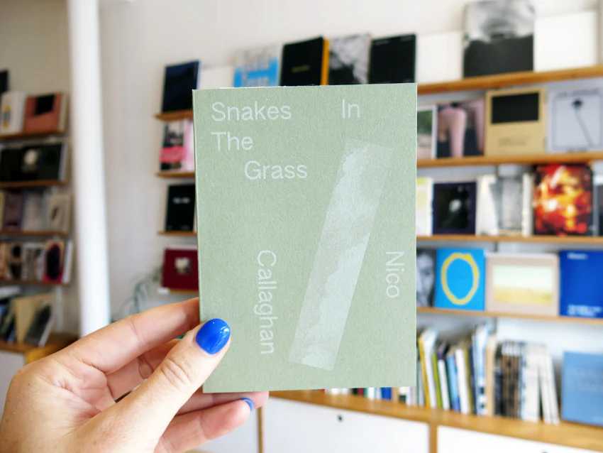 Nico Callaghan - Snakes In The Grass