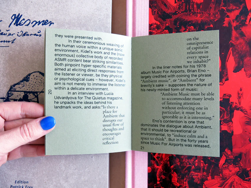 Nico Callaghan - Snakes In The Grass - Image 3