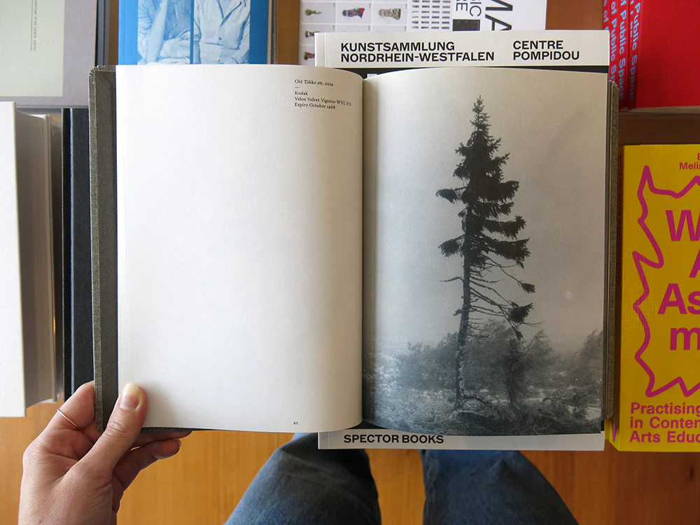 Nicolai Howalt – Old Tjikko - Image 4