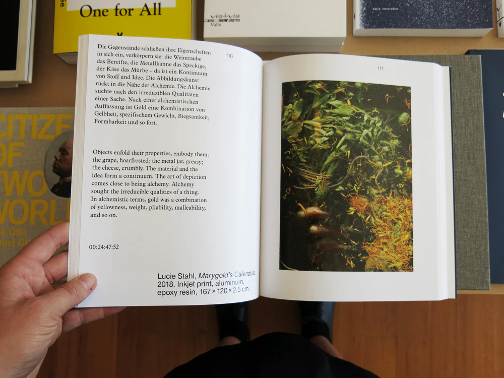 Obstinacy of Things: Still Life in Photographic Concepts of the Present - Image 6