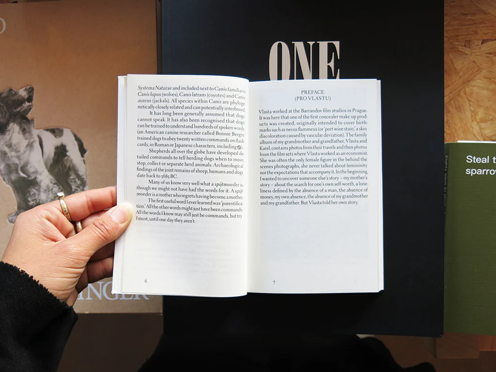Of Dogs and Daughters: Between Surrogate and Self - Image 9