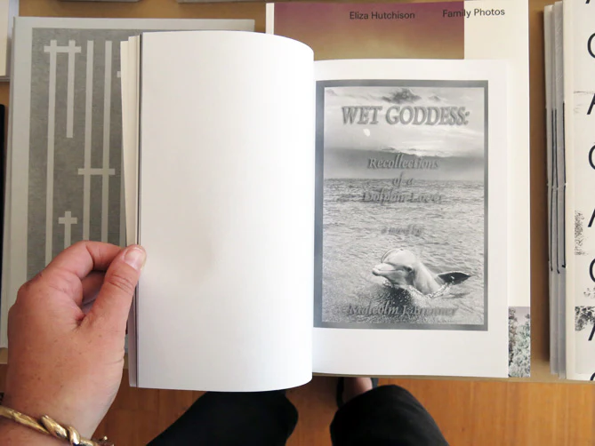 On Dolphins - Image 3