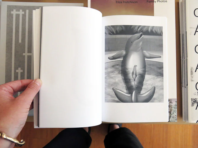 On Dolphins - Image 5
