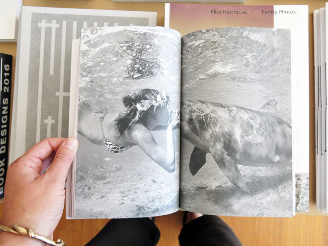 On Dolphins - Image 6