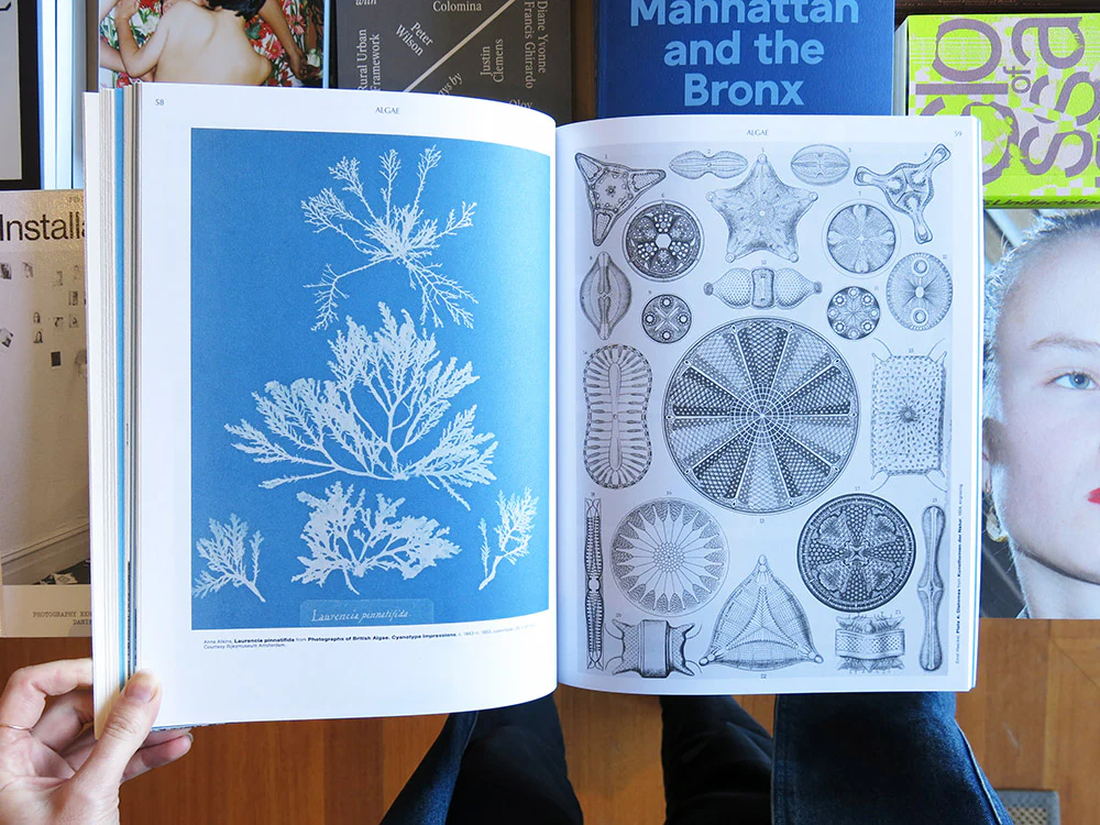 On the Necessity of Gardening: An ABC of Art, Botany and Cultivation - Image 4