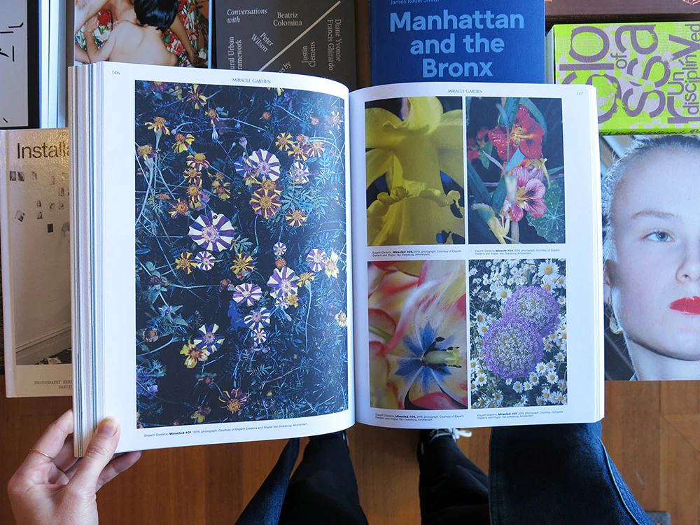 On the Necessity of Gardening: An ABC of Art, Botany and Cultivation - Image 7