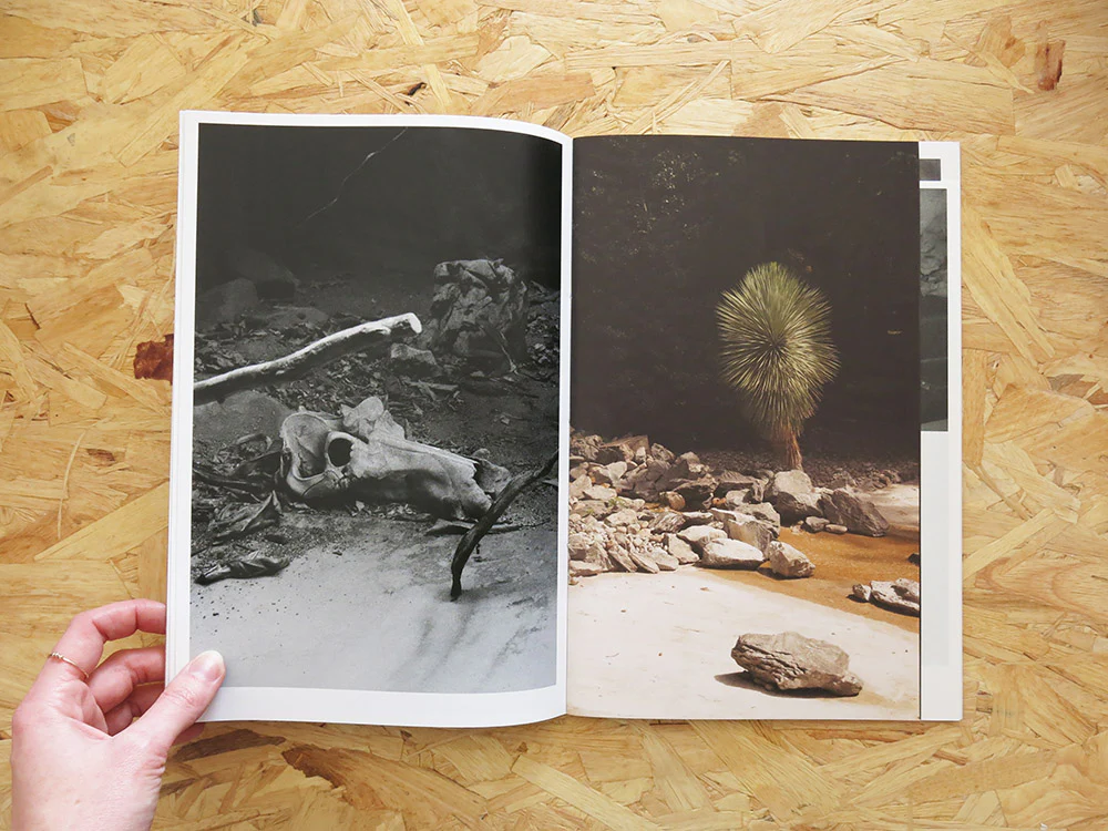 Oriane Thomasson – Paradis - Image 4