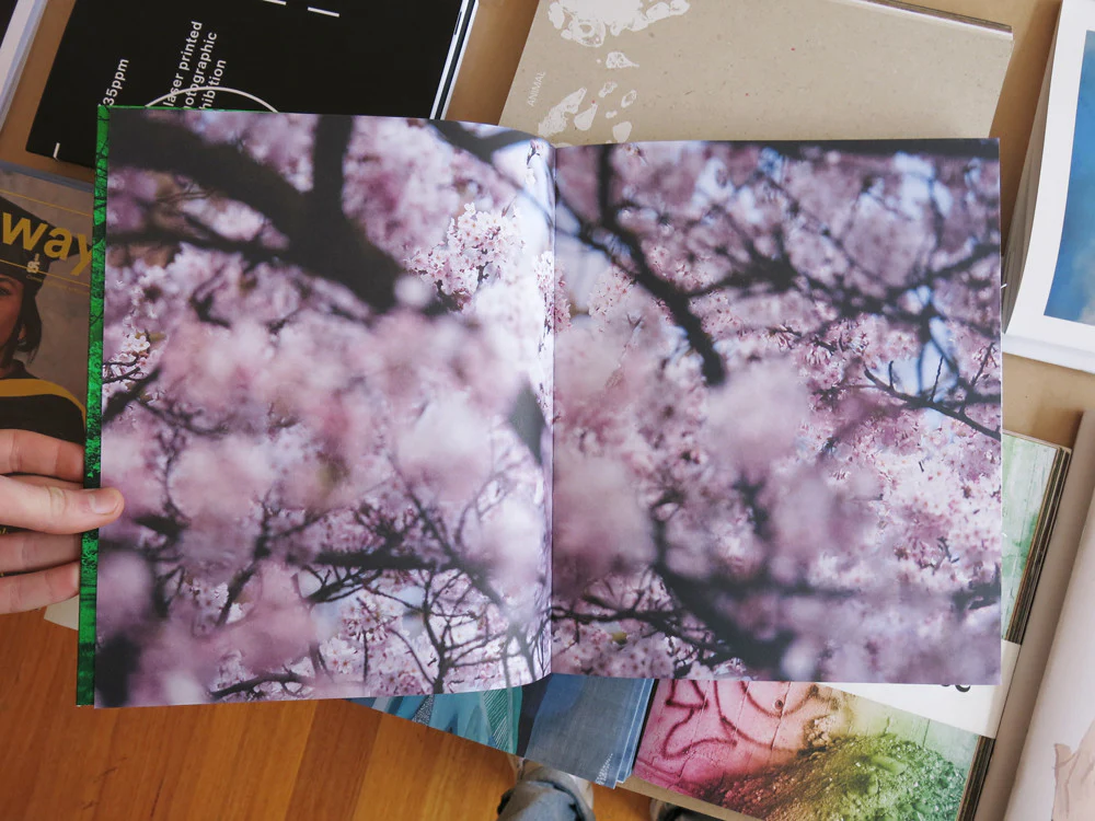 Janine Schrijver - Our Nature: Within The Limits Of City Parks - Image 2