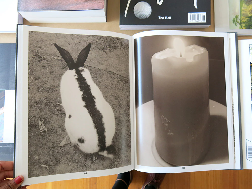 Paul Kooiker – Eggs and Rarities - Image 7