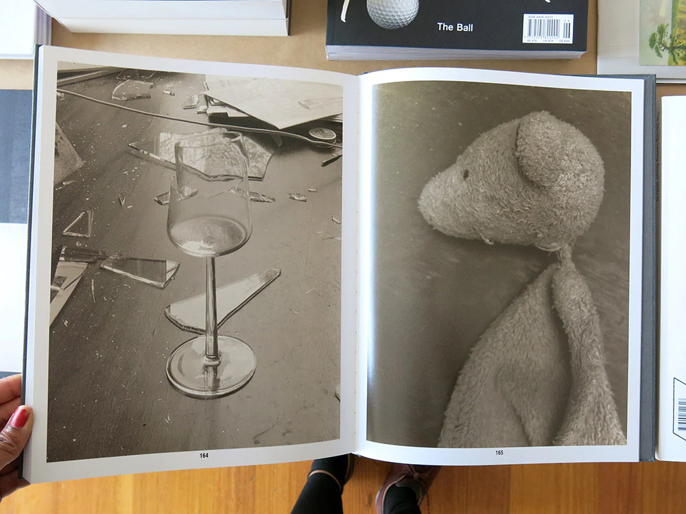Paul Kooiker – Eggs and Rarities - Image 8