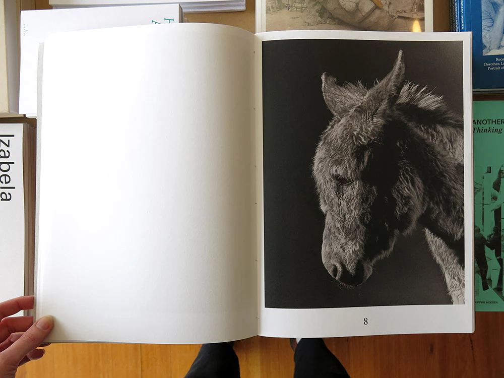 Paul Kooiker – The Rumour - Image 5