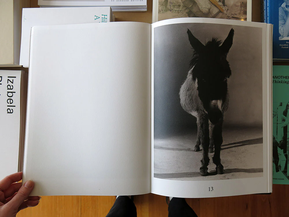 Paul Kooiker – The Rumour - Image 6