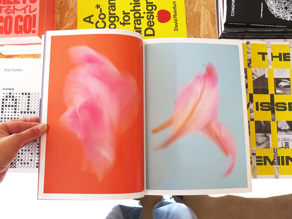 Paula Codoner – The Chromatics of Flowers - Image 10