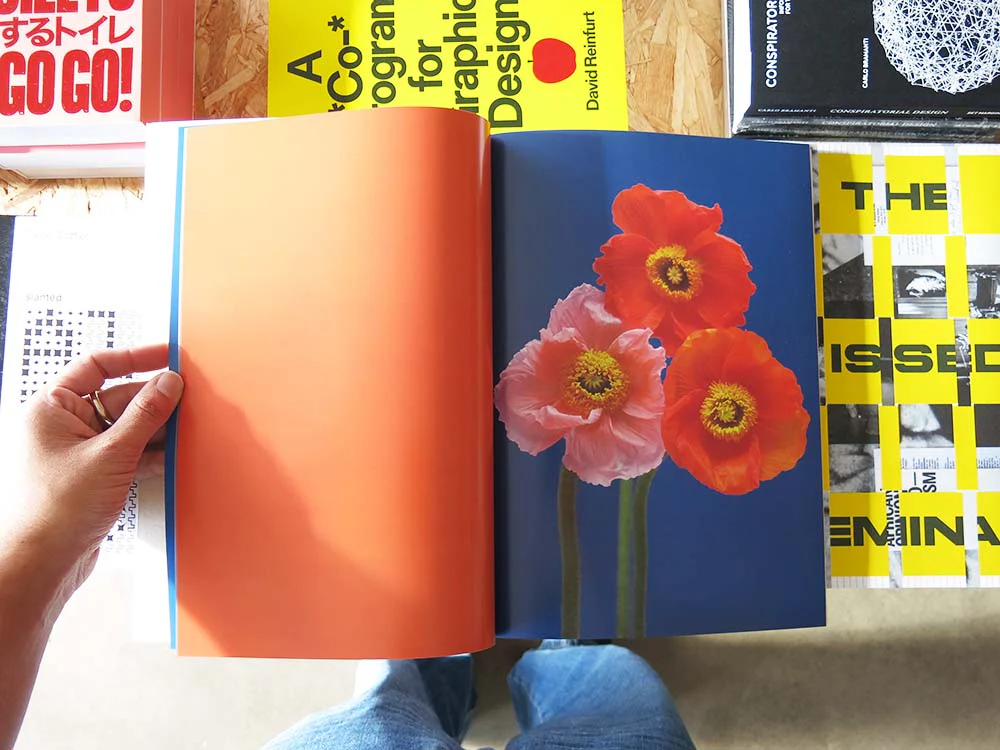 Paula Codoner – The Chromatics of Flowers - Image 4