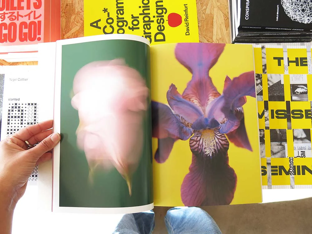 Paula Codoner – The Chromatics of Flowers - Image 8