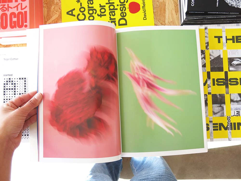 Paula Codoner – The Chromatics of Flowers - Image 9
