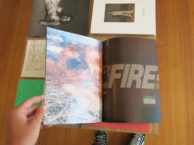 Peter Sutherland - Flames - Image 6