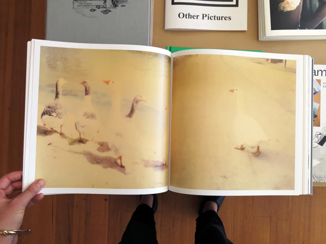 Pierre Keller - My Colorful Life - Image 4