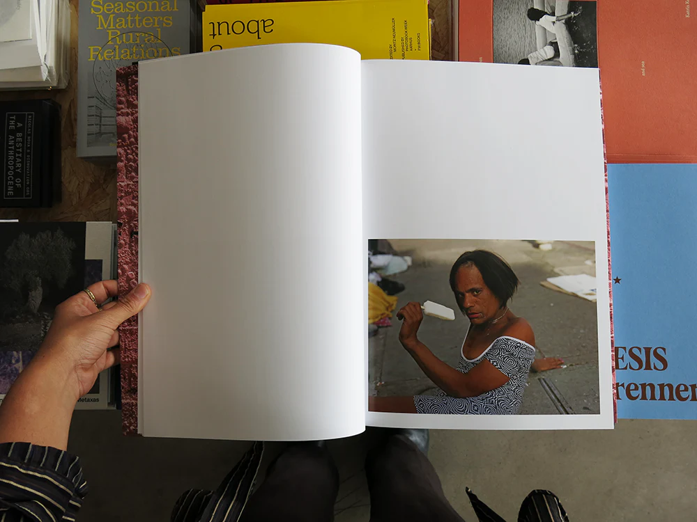 Pieter Hugo – Californian Wildflowers - Image 11