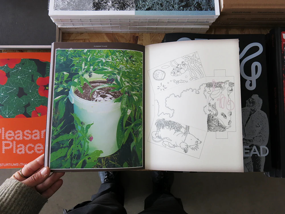 Pleasant Place 3: Compost - Image 7