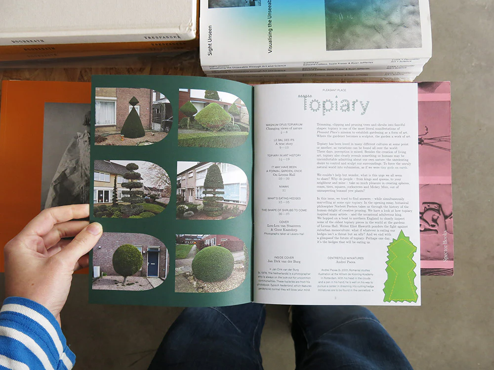 Pleasant Place 6: Topiary - Image 2