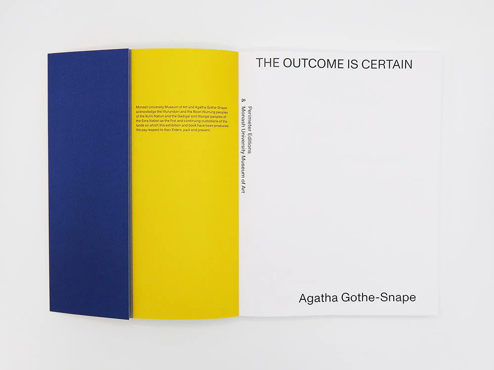 Agatha Gothe-Snape – The Outcome Is Certain - Image 3