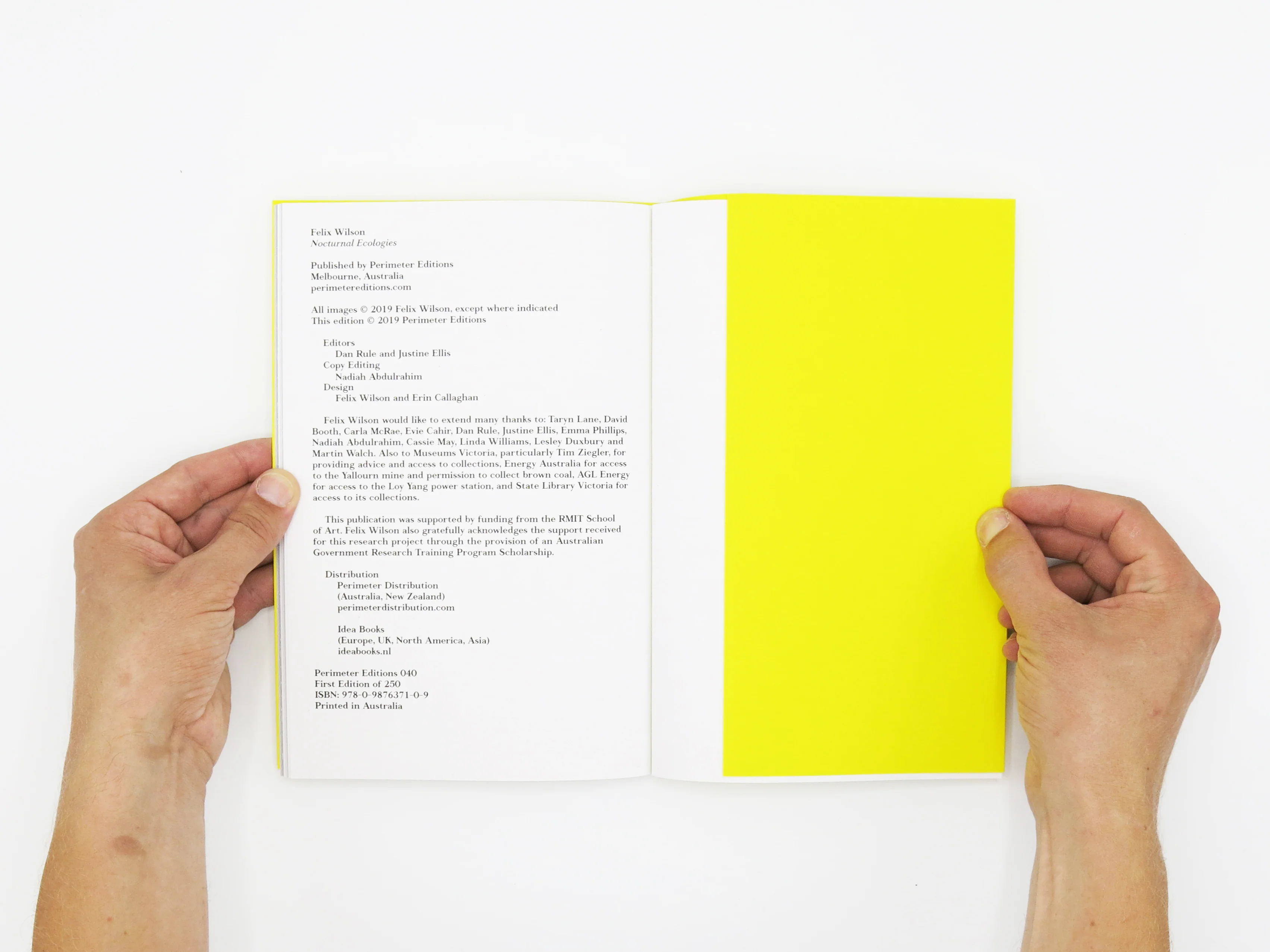 Felix Wilson – Nocturnal Ecologies - Image 10