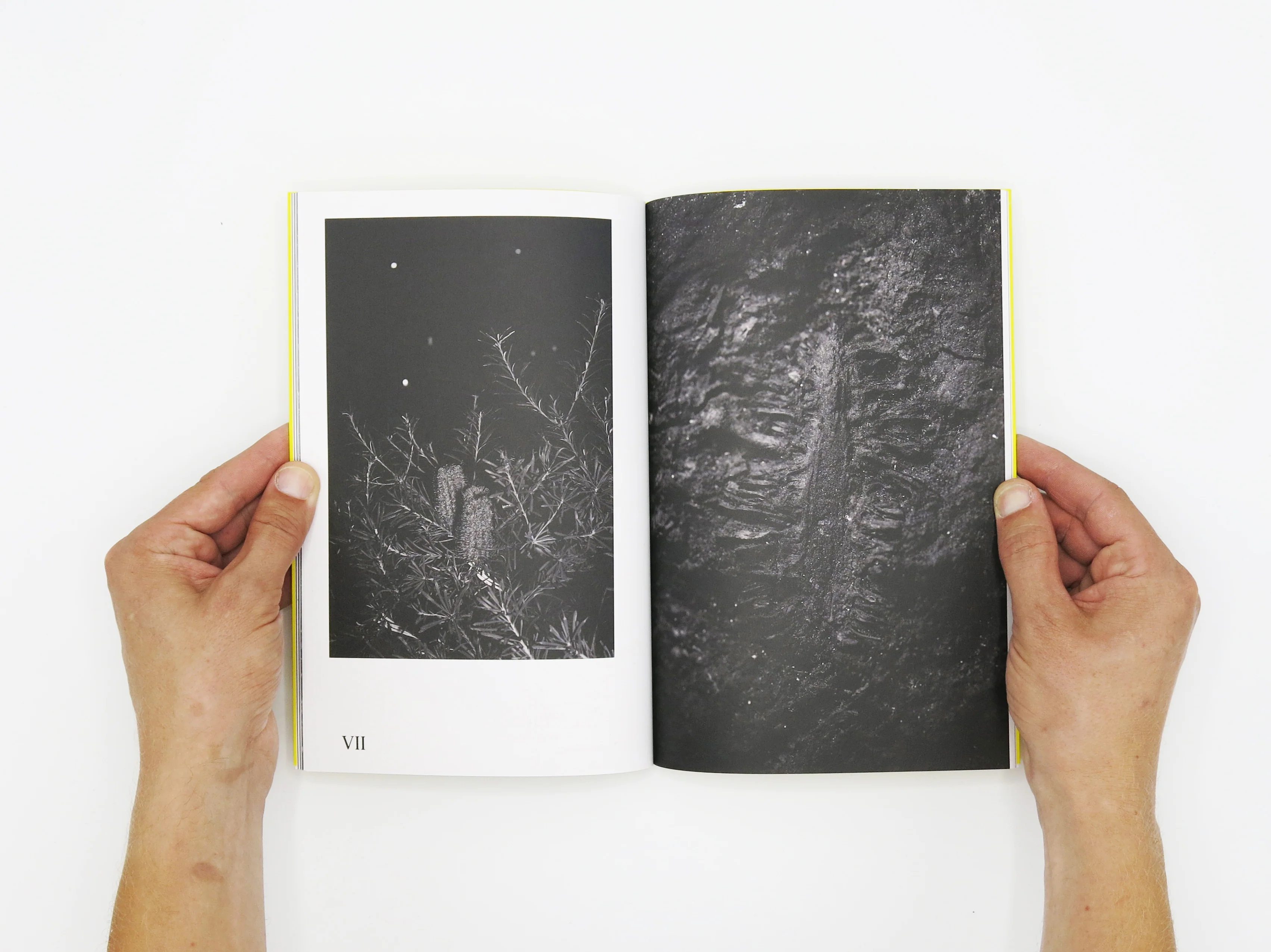 Felix Wilson – Nocturnal Ecologies - Image 3