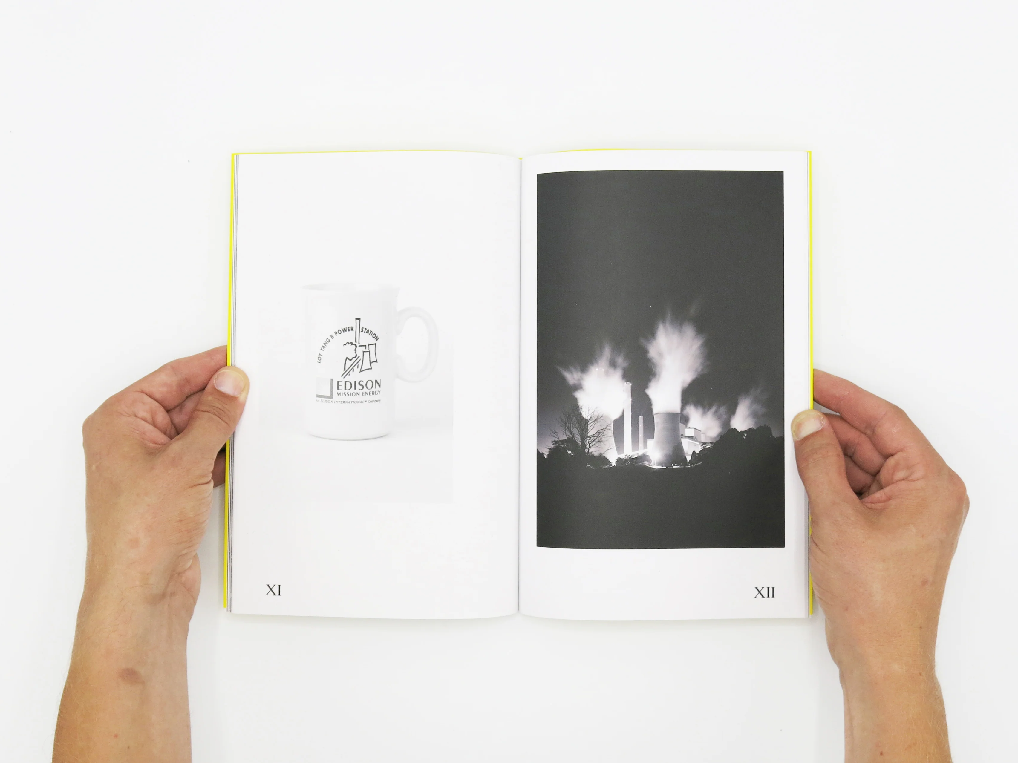 Felix Wilson – Nocturnal Ecologies - Image 4