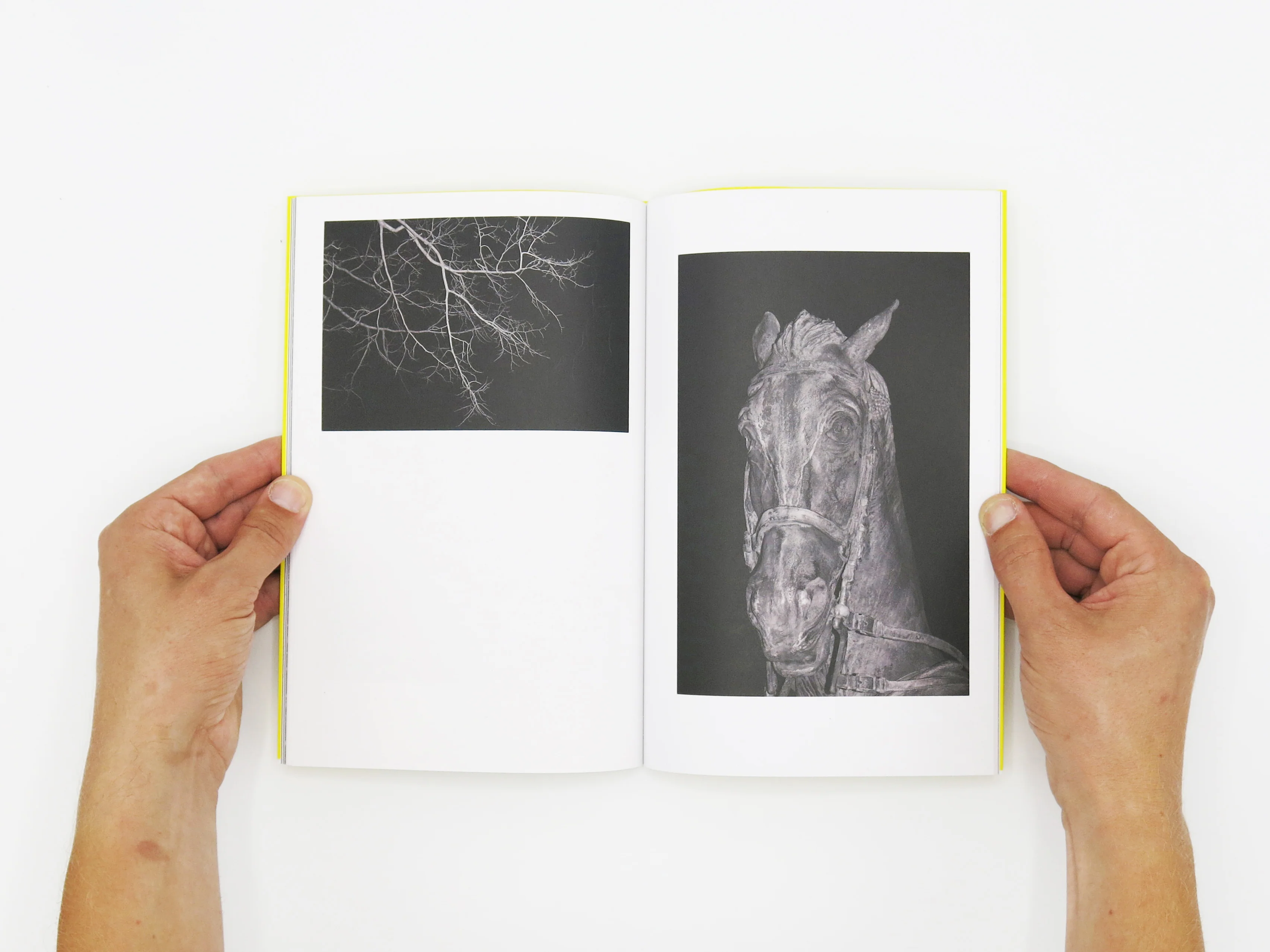 Felix Wilson – Nocturnal Ecologies - Image 5