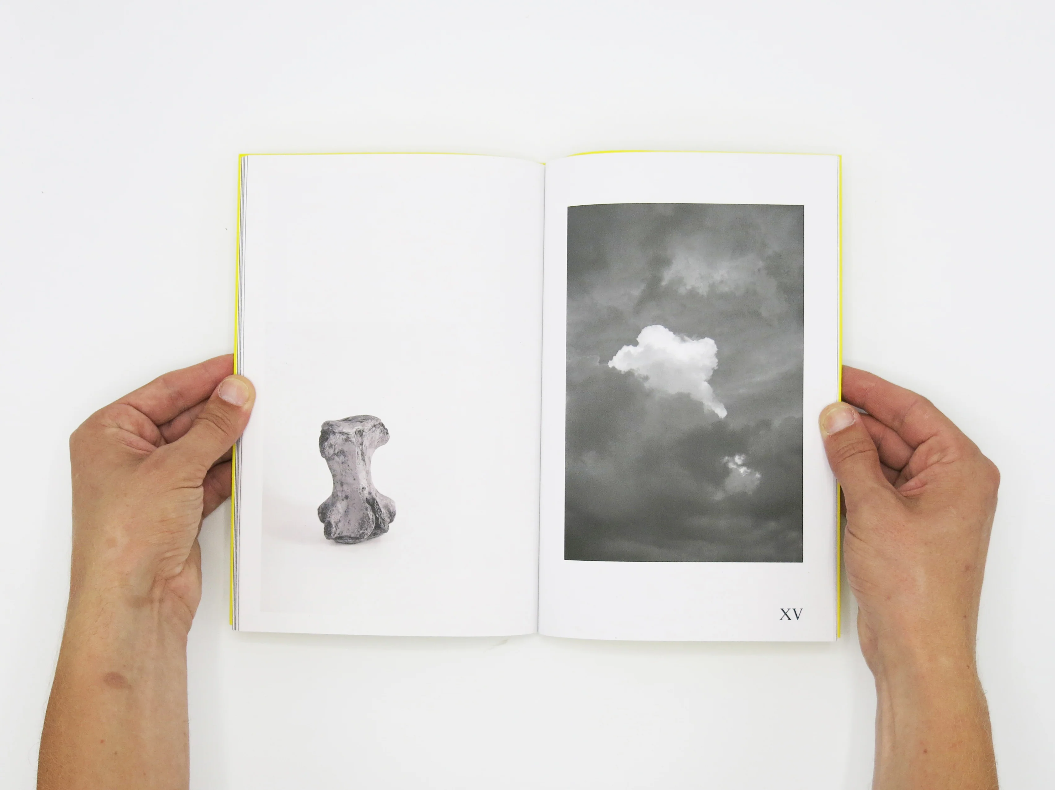 Felix Wilson – Nocturnal Ecologies - Image 7